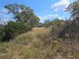 TBD-29.38 Acres Greenbriar Road - Photo 11