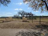 TBD-29.38 Acres Greenbriar Road - Photo 15