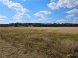 TBD-29.38 Acres Greenbriar Road - Photo 7