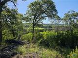 TBD-29.38 Acres Greenbriar Road - Photo 8