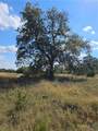 TBD-29.38 Acres Greenbriar Road - Photo 9