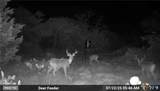 608 Private Road 2416 - Photo 9