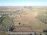 405 Black Ankle Road - Photo 3