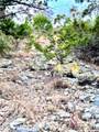 424 Armadillo Trail Drive - Photo 10