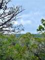 424 Armadillo Trail Drive - Photo 5