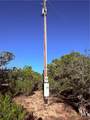 3600 Stagecoach Ranch Loop - Photo 10