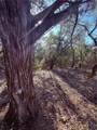 3600 Stagecoach Ranch Loop - Photo 5