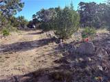 3600 Stagecoach Ranch Loop - Photo 6