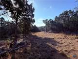 3600 Stagecoach Ranch Loop - Photo 8