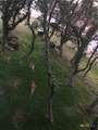 943 Parkview Drive - Photo 12