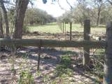 1923 Co Rd 286 - Photo 19