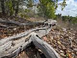 TBD Hudson Road - Photo 4