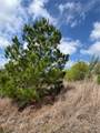 TBD Hudson Road - Photo 8