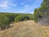 880 County Road 158 - Photo 19