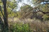 487 Old Bear Creek Road - Photo 19