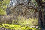 487 Old Bear Creek Road - Photo 24