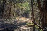 487 Old Bear Creek Road - Photo 25