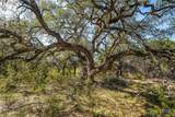 487 Old Bear Creek Road - Photo 8