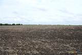 19374 Pennington Branch Road - Photo 15