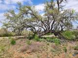 TBD County Road 402 - Photo 7