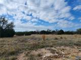 400 Blackjack Oak Drive - Photo 3