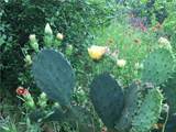 8 Fm 2814 - Photo 12