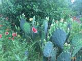 8 Fm 2814 - Photo 14