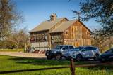 1247 Gruene Road - Photo 5