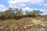 2330 Campestres - Photo 11
