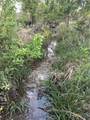 14450 Fm 2843 - Photo 16