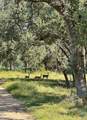 14450 Fm 2843 - Photo 8