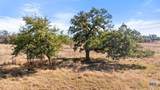 529 Skyline Drive - Photo 12