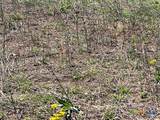 6611 Fm-1681 - Photo 10