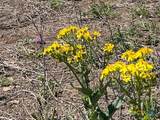 6611 Fm-1681 - Photo 13