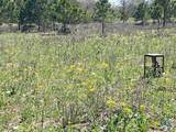 6611 Fm-1681 - Photo 4
