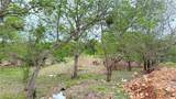 2214 Hunter Road - Photo 8