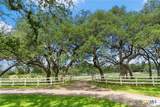 5055 Wayside Drive - Photo 38
