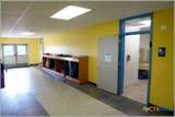 2200 Trimmier Road - Photo 8