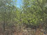00 Dowdy Road - Photo 4