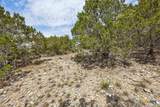 1082 Madrone Road - Photo 12