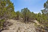 1082 Madrone Road - Photo 7