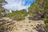1082 Madrone Road - Photo 8
