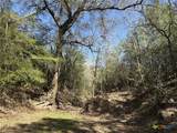 0 Anchor Ranch Loop - Photo 11