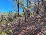 1345 Larson Drive - Photo 13