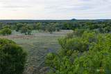 405 Blackjack Oak Drive - Photo 5