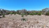 2124 Francisco Pass - Photo 15