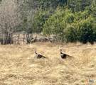 TBD Cr 299 - Photo 7
