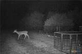 TBD Straws Mill Rd - Photo 39