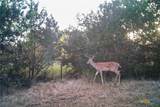 TBD Straws Mill Rd - Photo 40