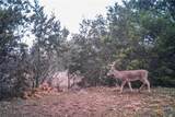 TBD Straws Mill Rd - Photo 8